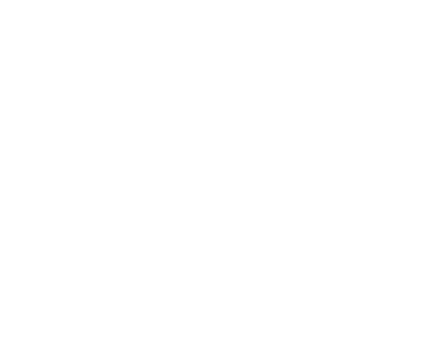 Laserhog-white-Konvertiert-1.png